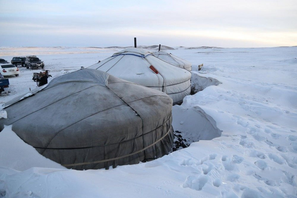 Зудын эрсдэл нийт нутгийн 4 хувьд нэн их, 17 хувьд их гарчээ